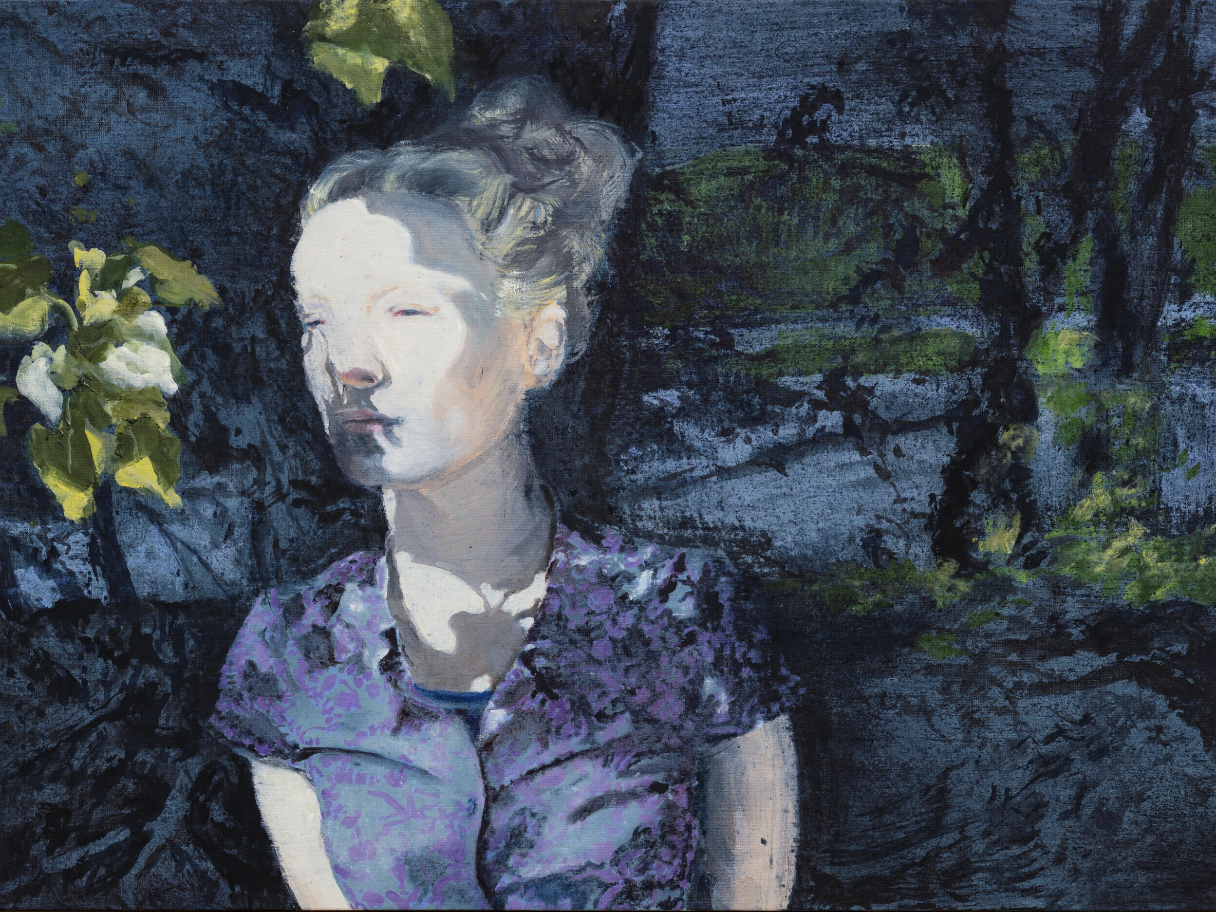 Didier Boussarie - Ombres chinoises