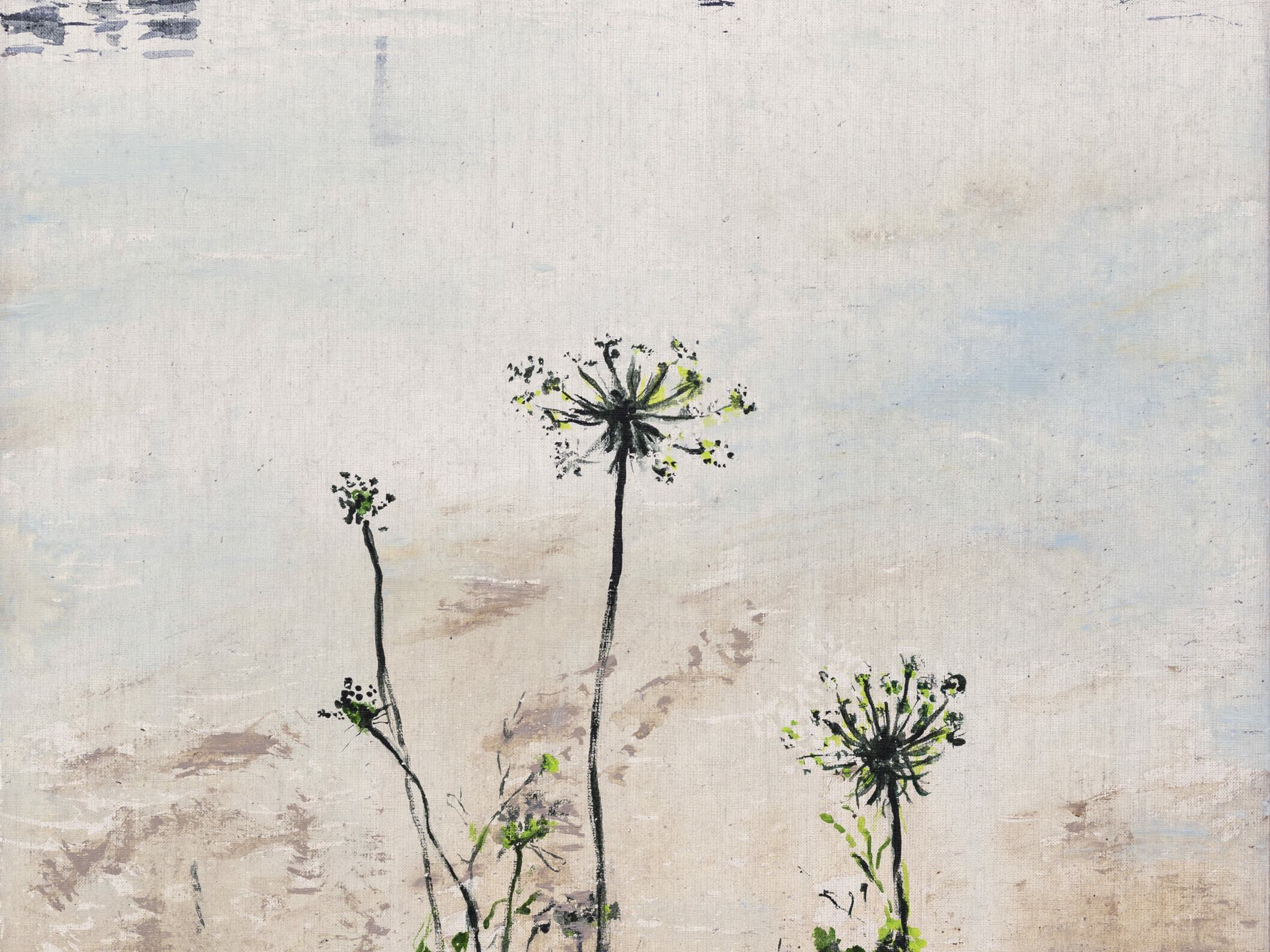 Didier Boussarie - Fleurs d'eau I