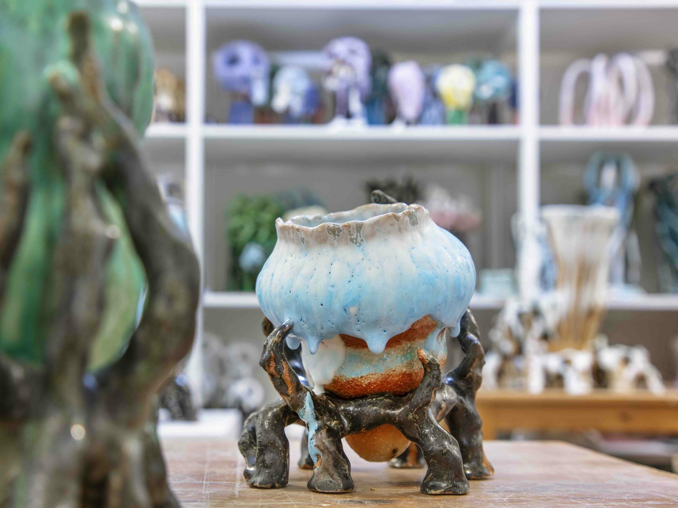 Bente Skjoettgaard - Phylum Cnidaria no 2137