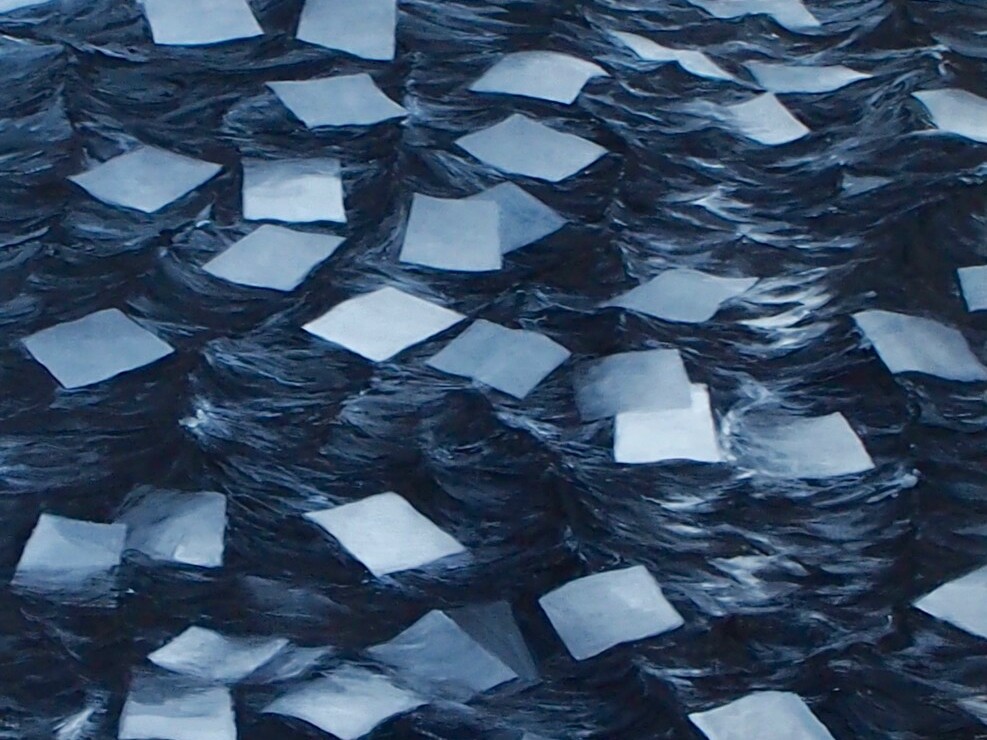 Peter Martensen - The Order (Sense and sensibility)