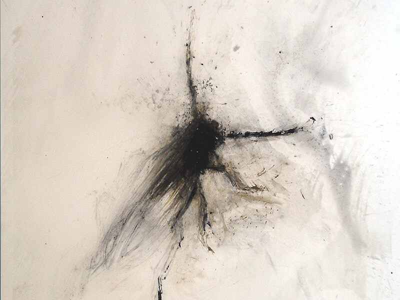 K96082 - Didier Boussarie - sans titre