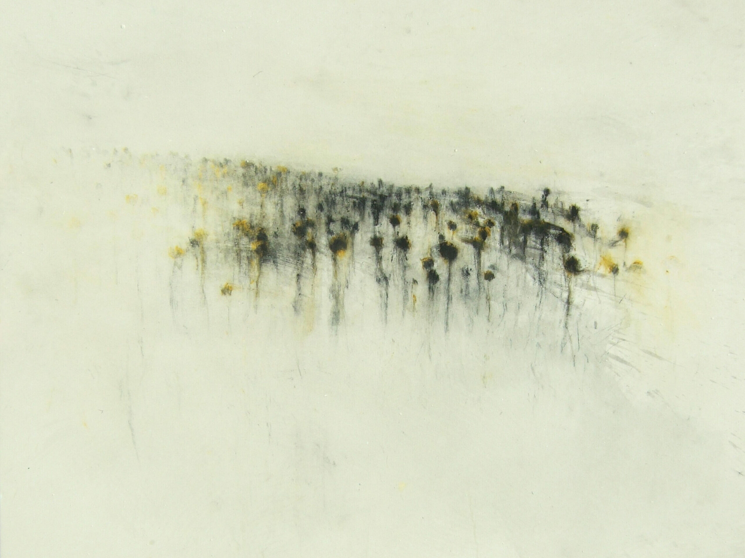 K96090 - Didier Boussarie - sans titre