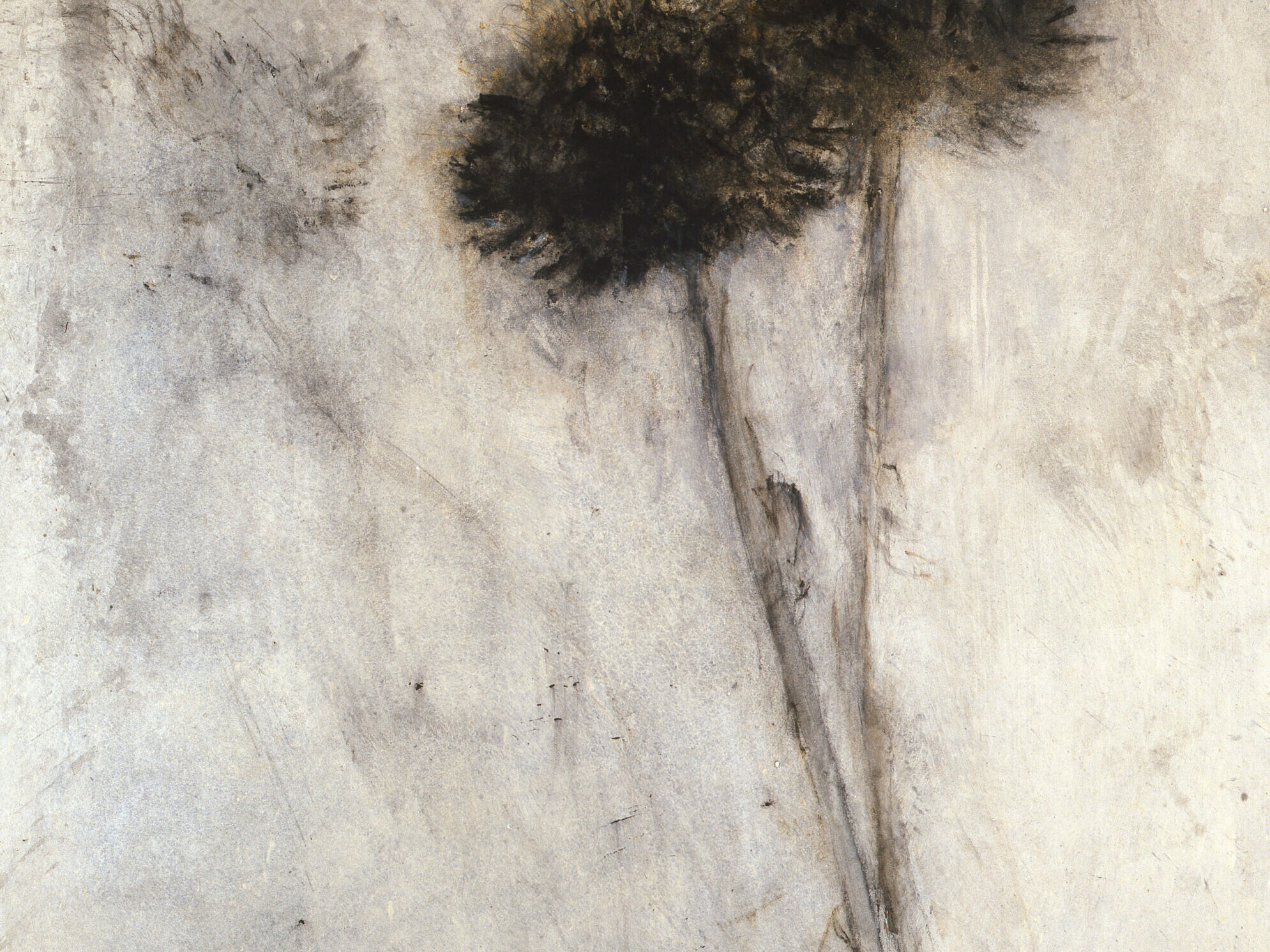 K96120 - Didier Boussarie - sans titre