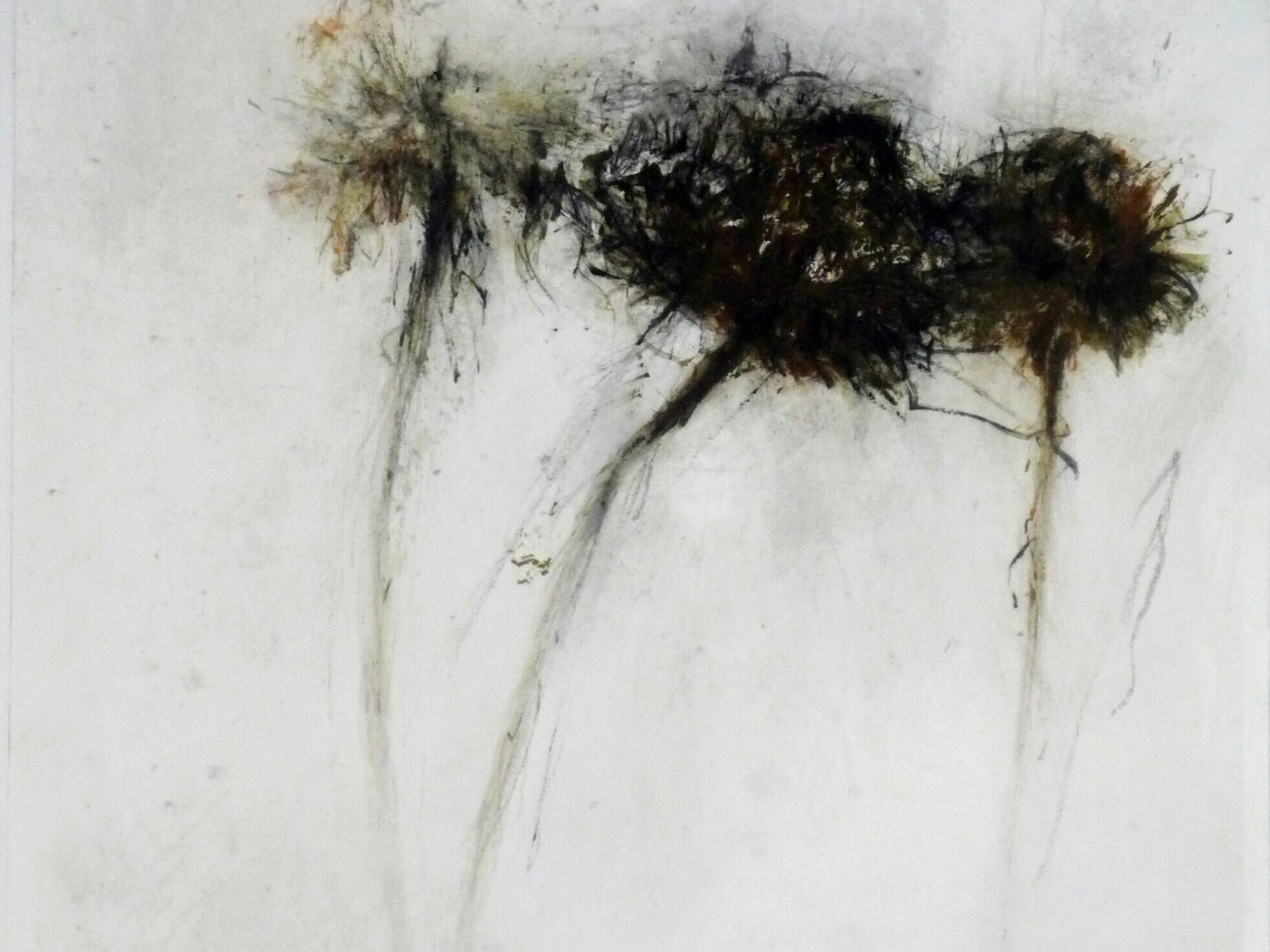 Didier Boussarie - sans titre