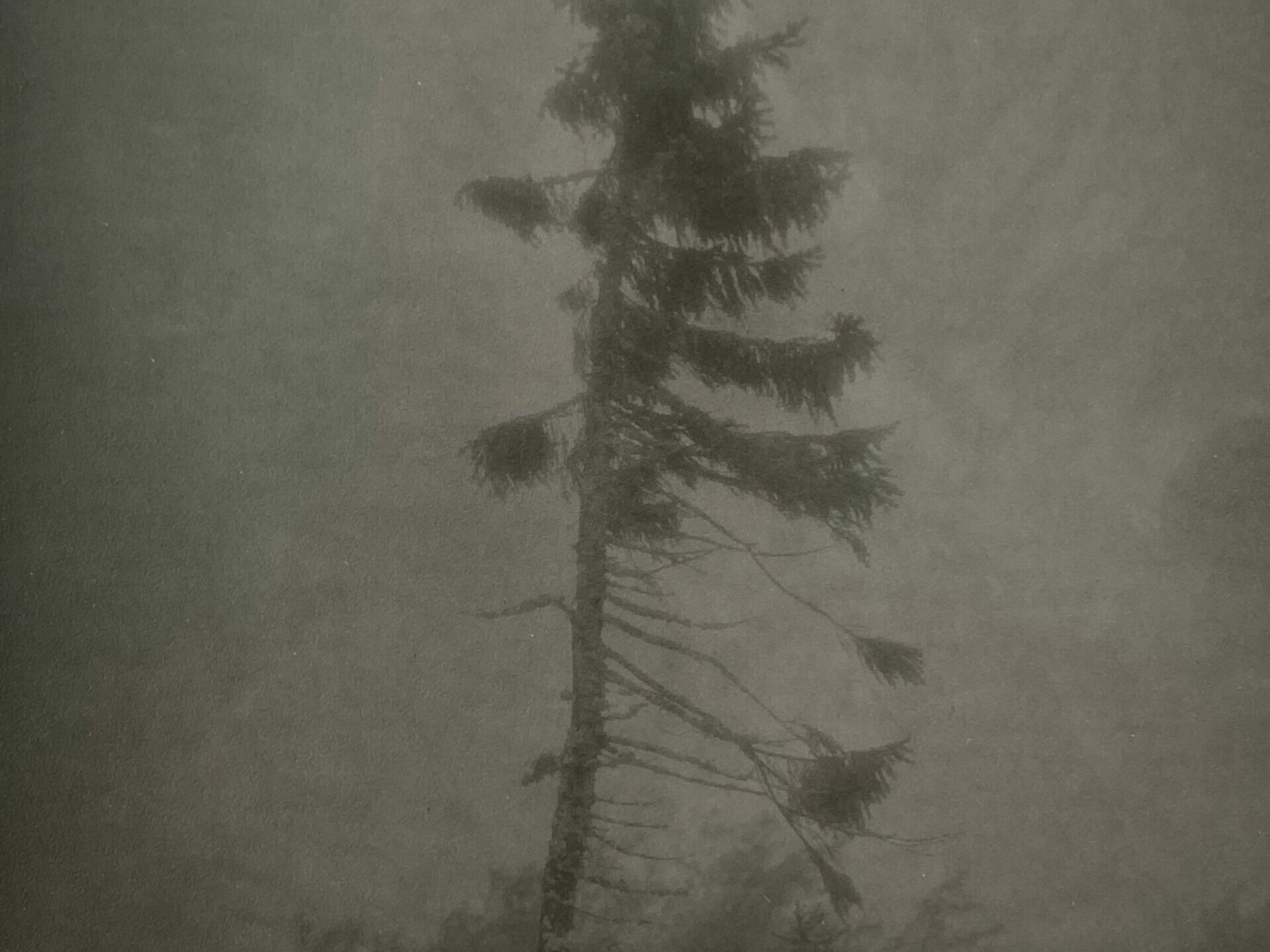 Nicolai Howalt - OLD TJIKKO