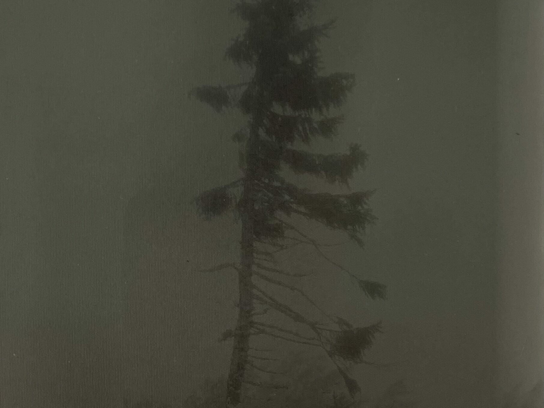 Nicolai Howalt - OLD TJIKKO VII