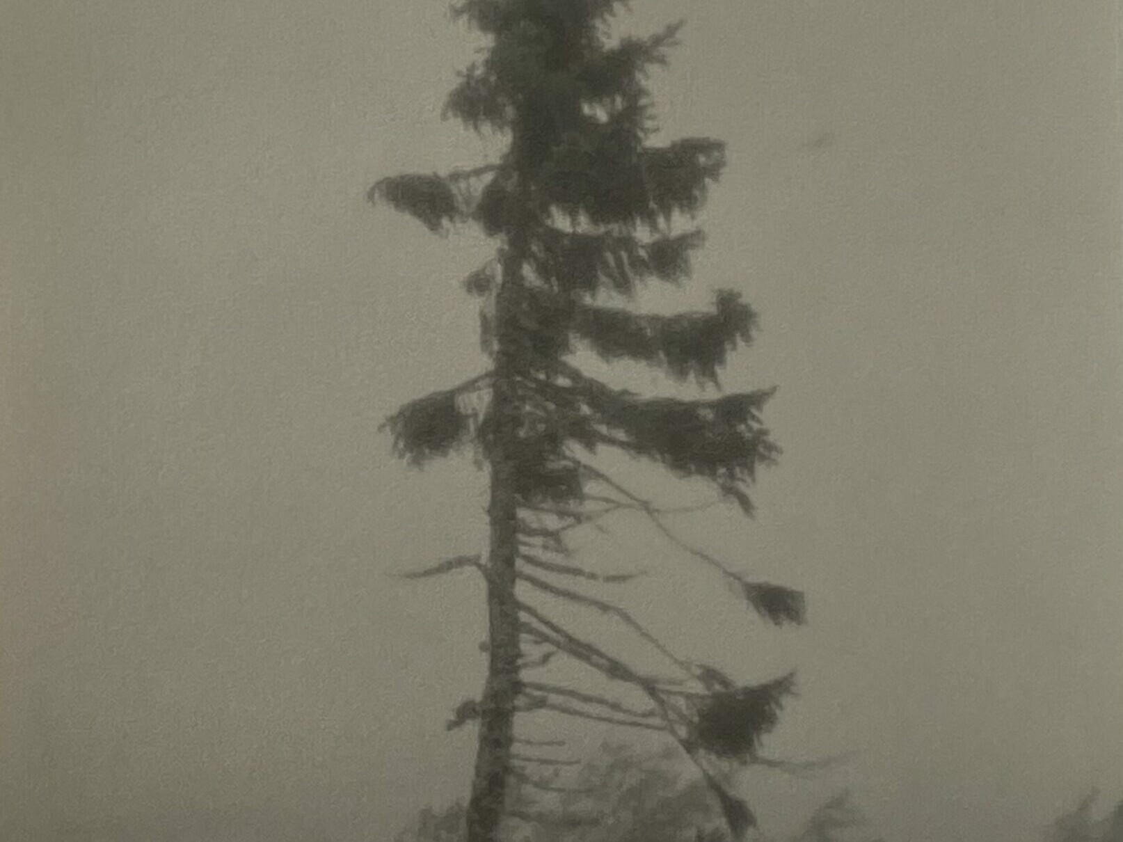 Nicolai Howalt - OLD TJIKKO III