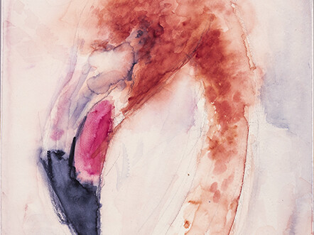 Didier Boussarie - Flamants I