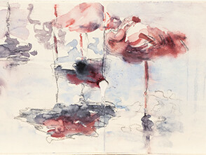 Didier Boussarie - Flamants II