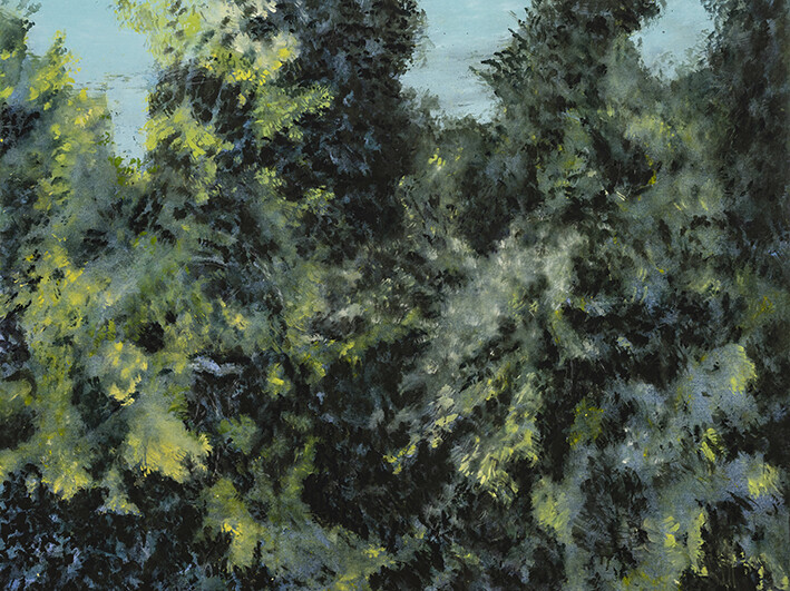 Didier Boussarie - Feuillage