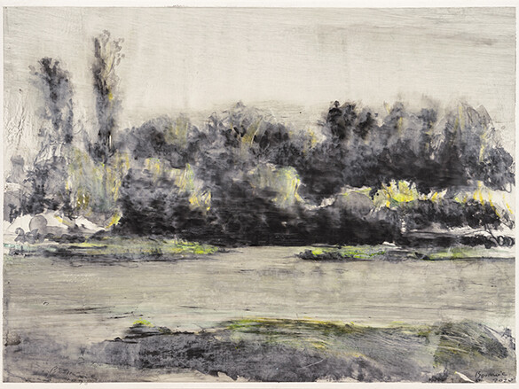 Didier Boussarie - Le fleuve