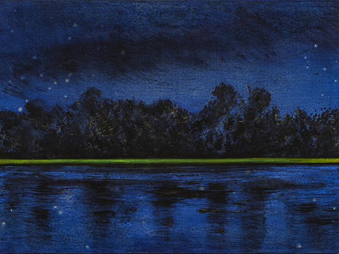 Didier Boussarie - Nuit étoilée I