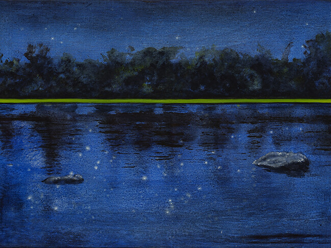 Didier Boussarie - Nuit étoilée II