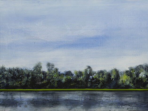 Didier Boussarie - Vert Horizon