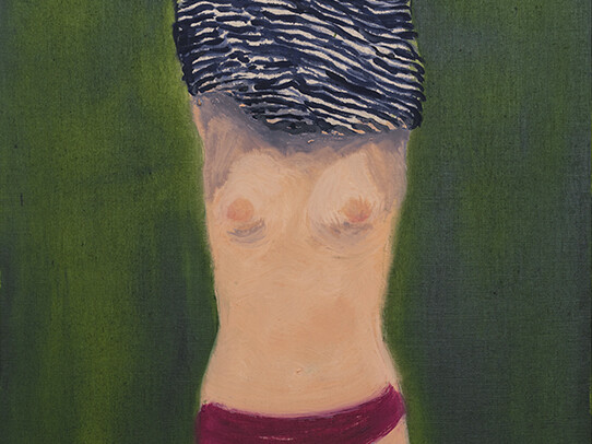 Didier Boussarie - La marinière