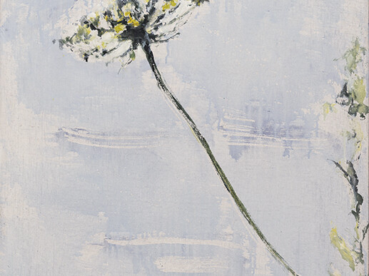 Didier Boussarie - Fleurs d'eau II