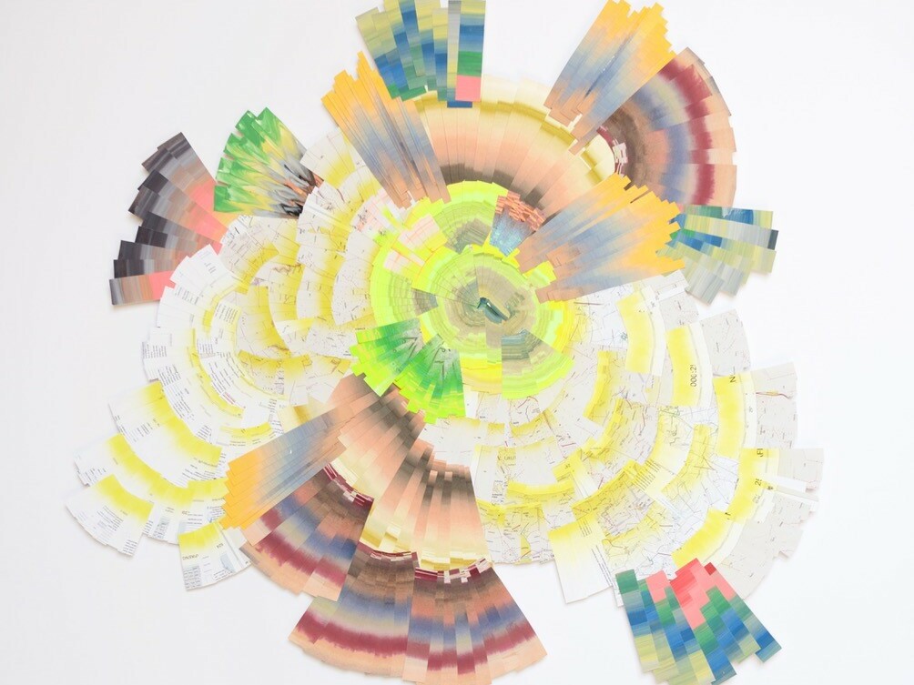 Lyndi Sales - Radial graph resonance of a heart in time and space