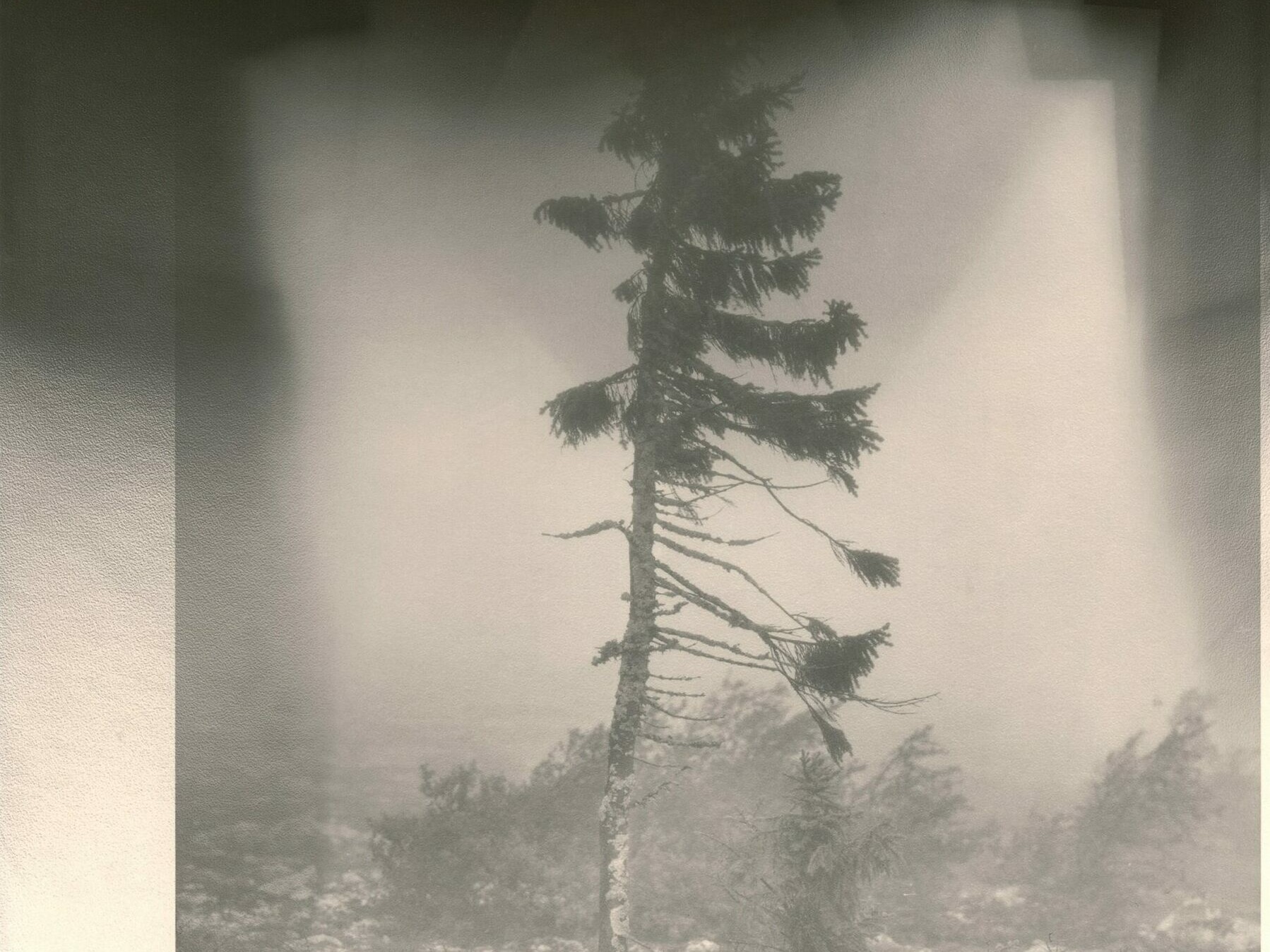 Nicolai Howalt - OLD TJIKKO VI