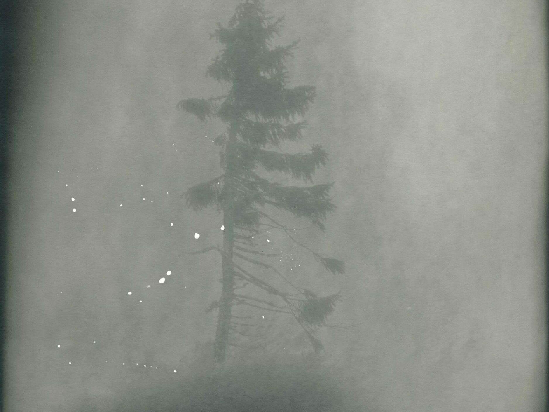 Nicolai Howalt - OLD TJIKKO II