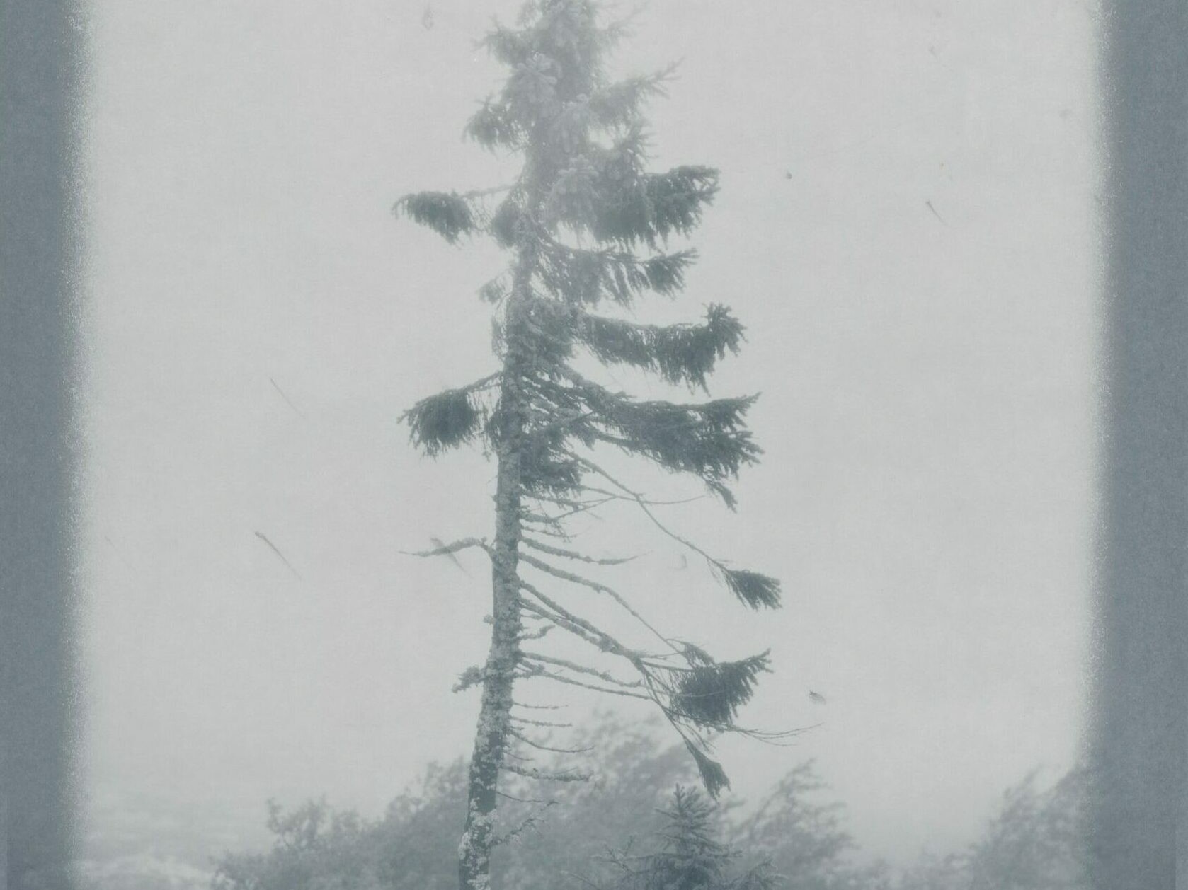 Nicolai Howalt - OLD TJIKKO VIII