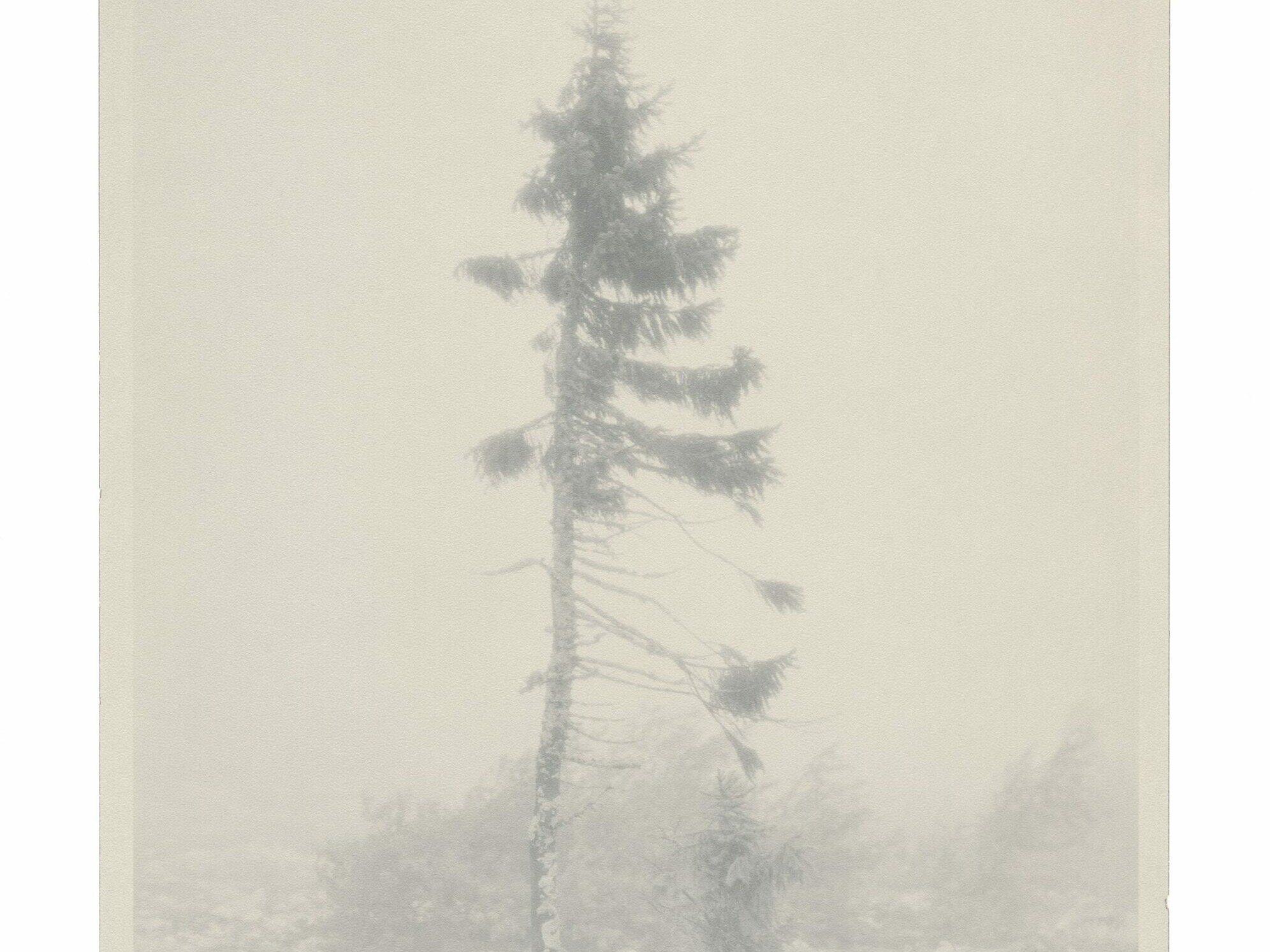 Nicolai Howalt - OLD TJIKKO X