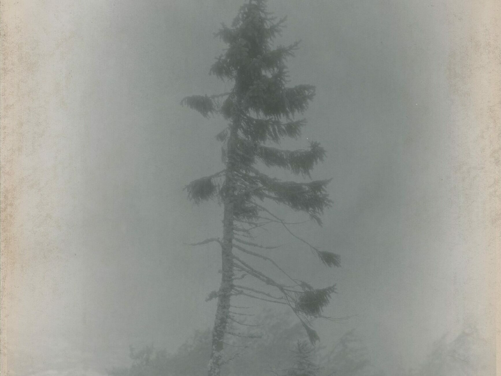 Nicolai Howalt - OLD TJIKKO V