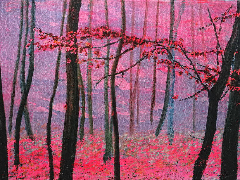 Didier Boussarie - Forêt d'Orleans - 2023