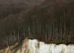 Helene SCHMITZ - Wandering Border - 2023 - ©