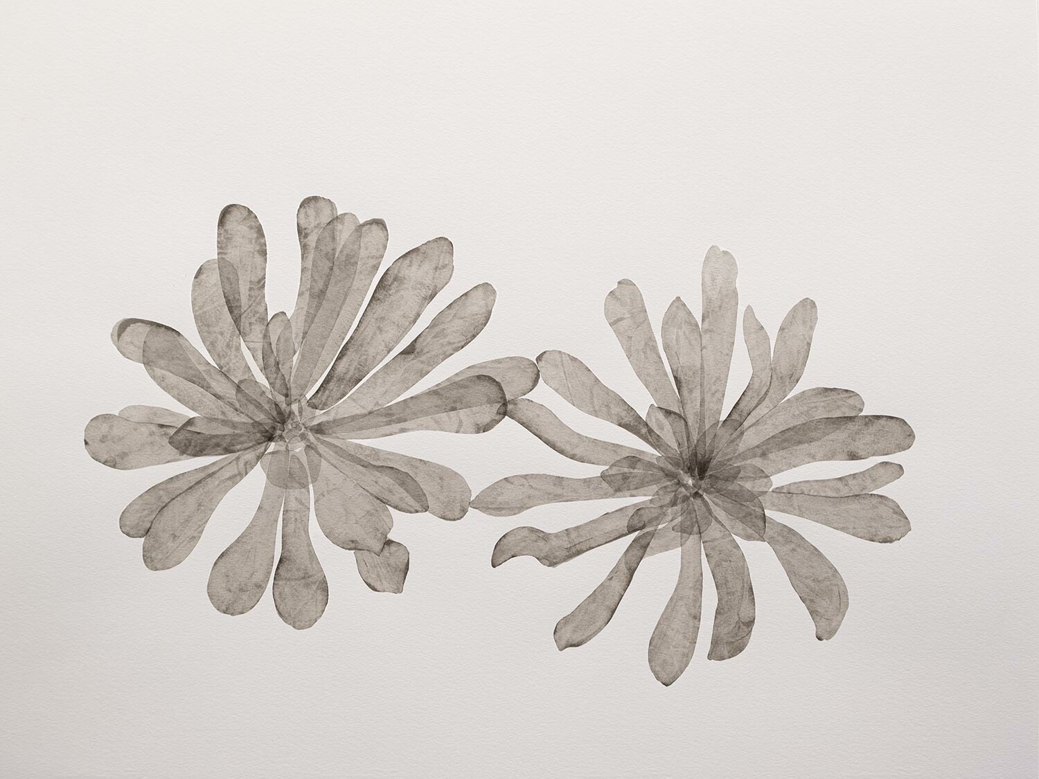 Marielle Paul - Aenium - 2021