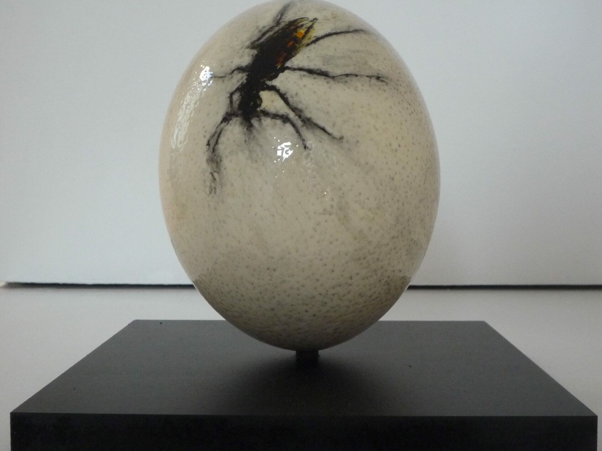 K96165 - Didier Boussarie - sans titre