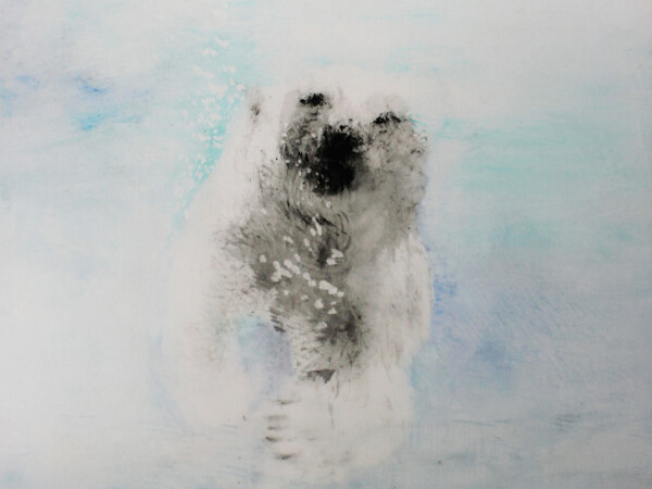 Didier Boussarie - Ours au bain I