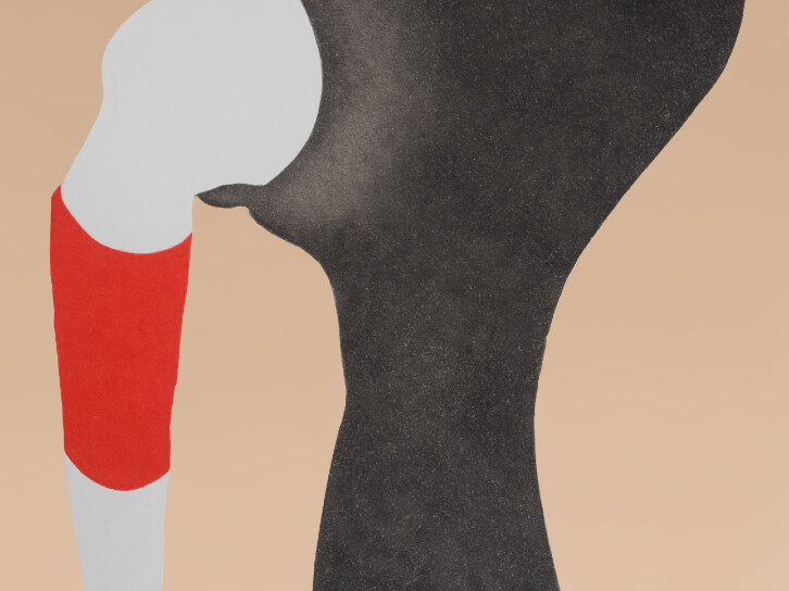 Farida Le Suavé - Tête