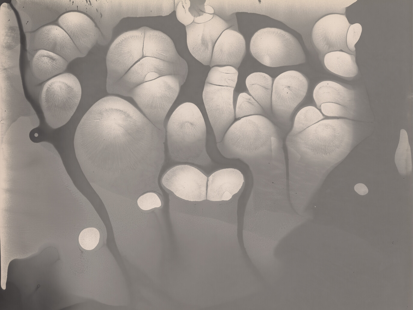 Nicolai Howalt - Silver Migration 7