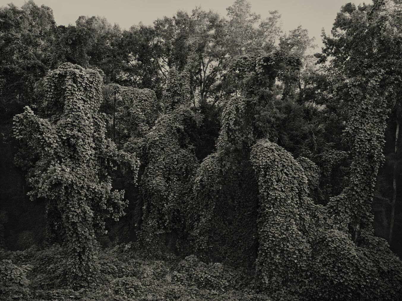 Helene Schmitz - Southern Landscape