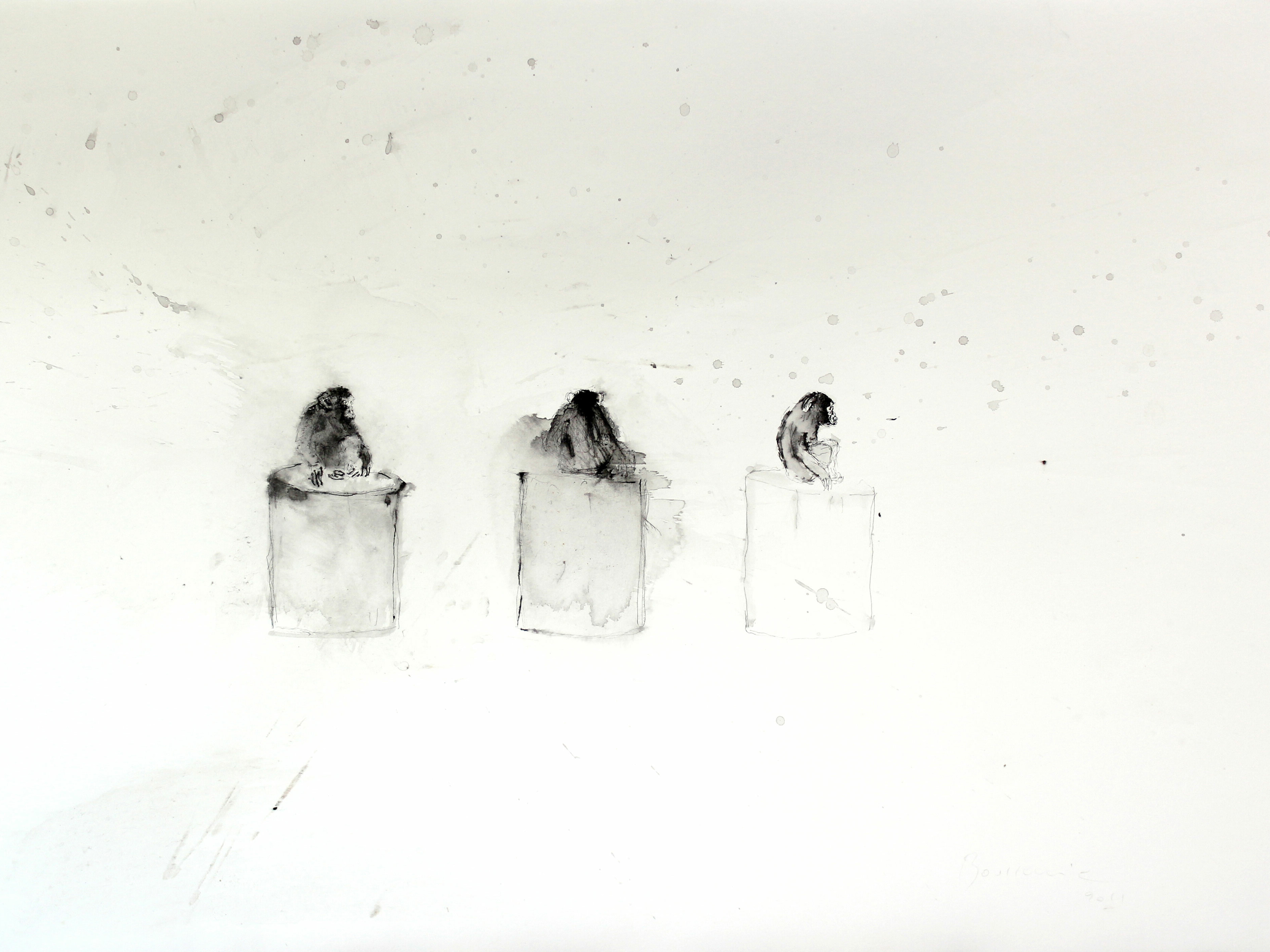 Didier Boussarie_Primates