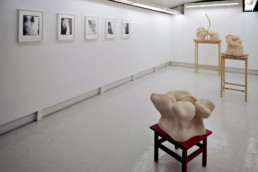 Jeremy Stigter Farida Le Suavé - Galerie Maria Lund - vue expo Chère chair