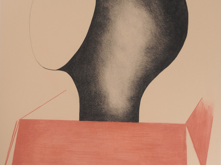 Farida Le Suavé - Tête 5