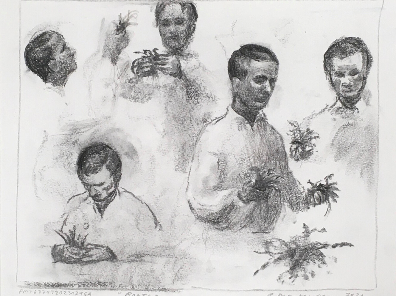 Peter Martensen - Roots