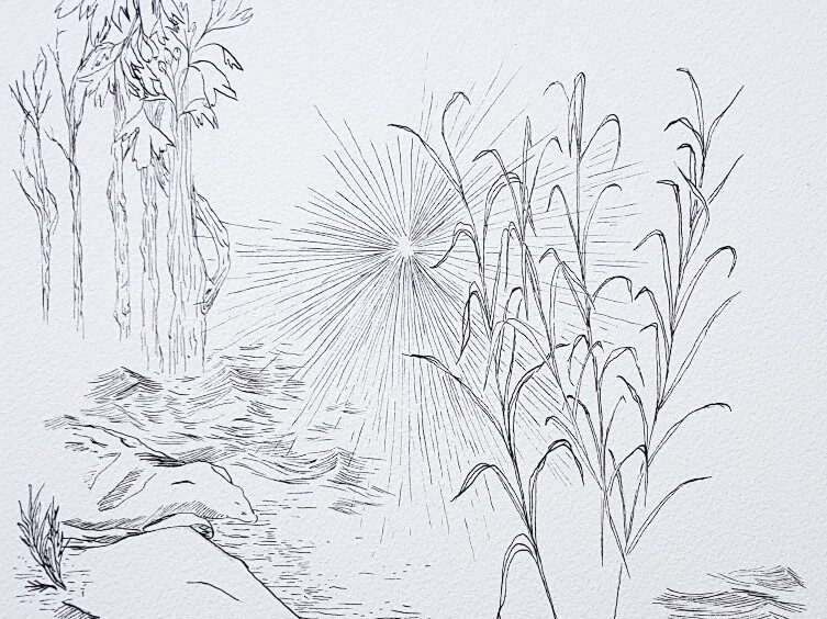 Elise Peroi - Métamorphose 1