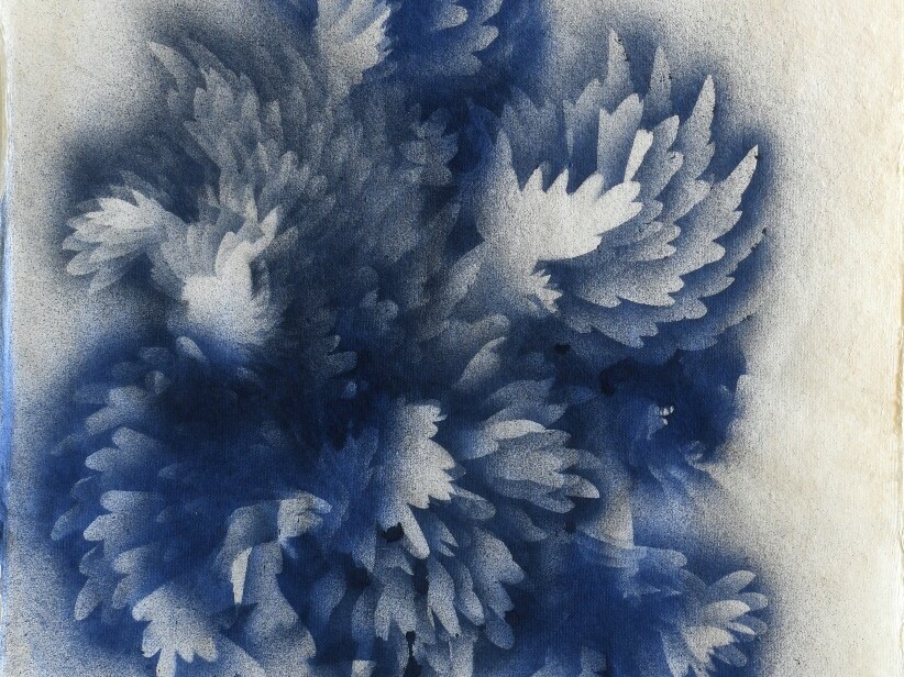 Lyndi Sales - I ain’t never gonna shut you out