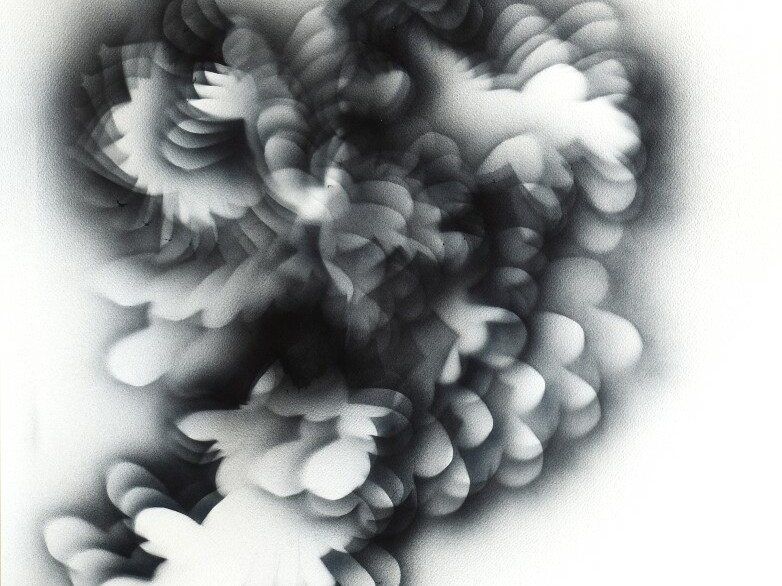 Lyndi Sales - Every rule I have you’re breaking