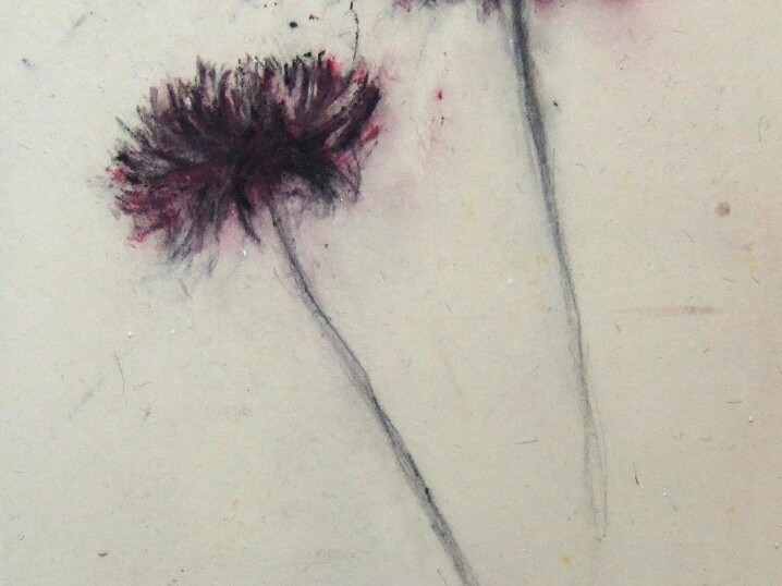 Didier Boussarie - sans titre