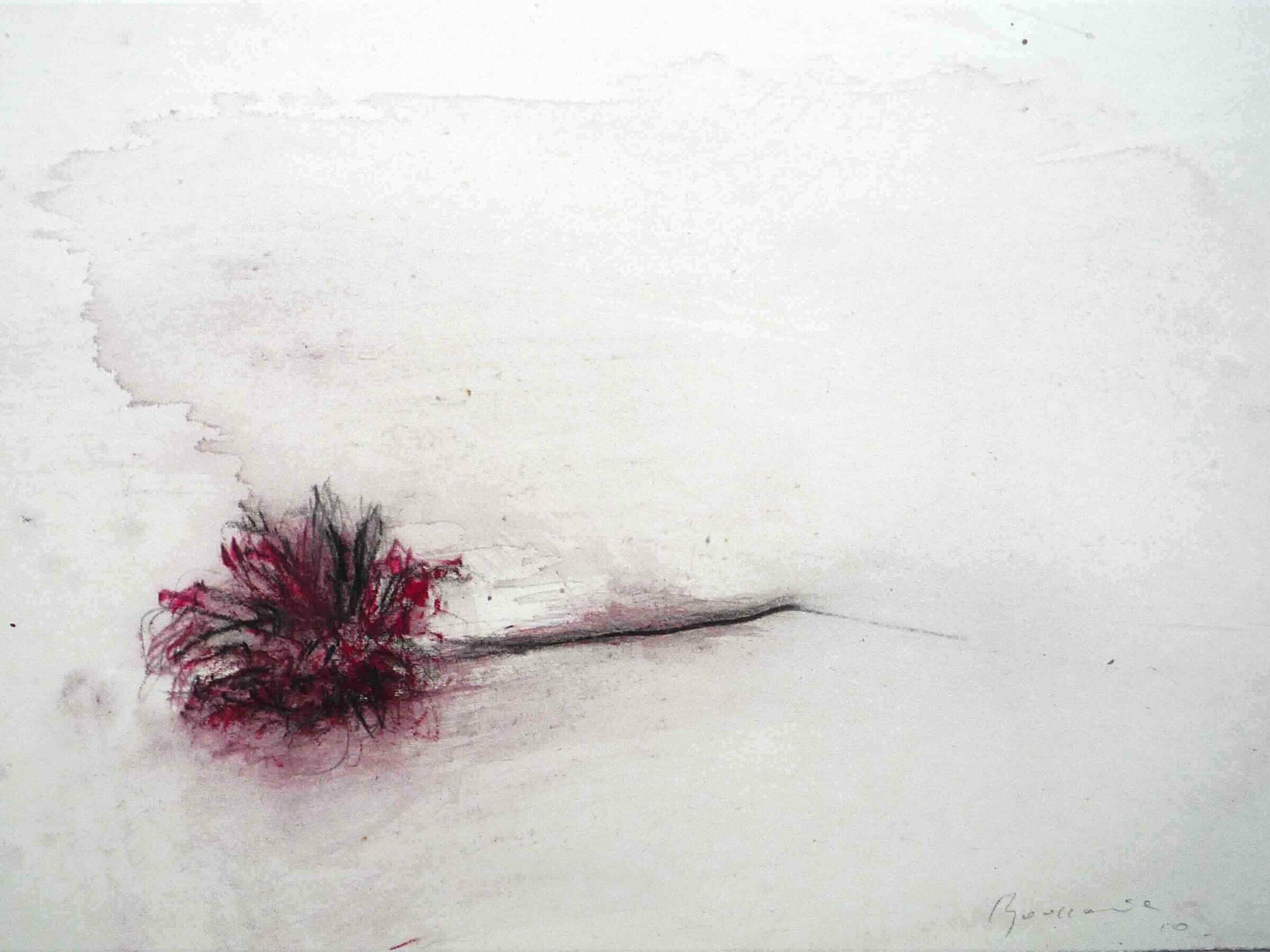 Didier Boussarie - Dahlia