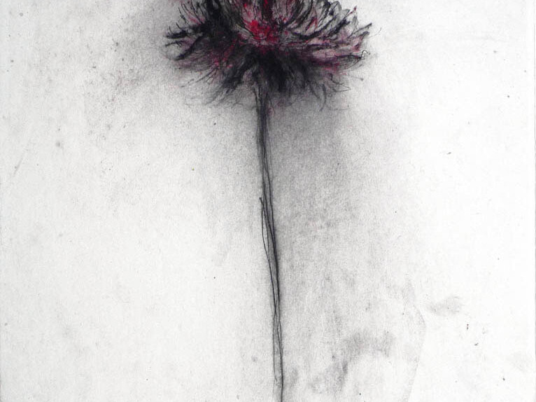 Didier Boussarie - Dahlia