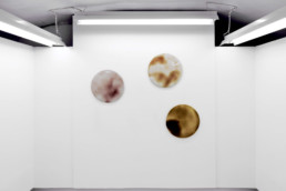 Linda Swanson - Galerie Maria Lund - Phasis